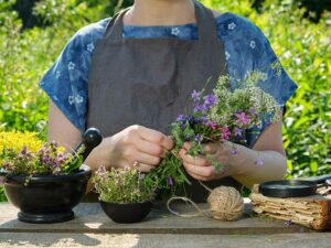 Plantas medicinales actividad RSE en Barcelona por Greenevents