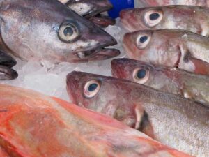 Calendario de peces de temporada actividad RSE en Barcelona por Greenevents